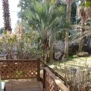 축구장 옆 이미지