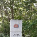소룡 이미지