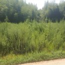 입석리 경로당 이미지