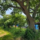 여흘마을 이미지