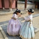 완산-73 | 전북투어패스 전주한옥마을권으로 8살 아이랑 잘 놀고, 잘 먹고 온 후기 (5900원으로 완전 뽕뽑기)