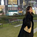 <b>스트레치</b><b>엔젤스</b> 호보백 인스타로 보는 토트백 오오티디