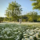 만연산생태숲공원 공중화장실 | 5월 가볼만한곳,경남 함안 악양생태공원 샤스타데이지 25년 개화현황과 대형카페 숲필 후기