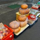 부곡식당횟집 이미지