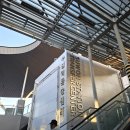 다솔초교 이미지