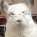 성지 | 청량리 편평사마귀 성지 후기(예약,금액,준비 TIP)