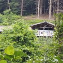 봉화민박 이미지