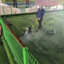 중동교 게이트볼장  이미지