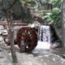 요크독애견샵 이미지