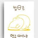 송우다방