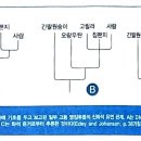 [제7장 인류의 기원] 이미지