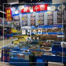 친구수산 | 가락시장 용천수산ㅣ생새우회 내돈내산 후기🦐