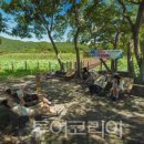 ㈜호남약품 이미지