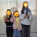 웅진 | 🌳 웅진탑동클래스 원데이클래스 후기