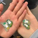 뉴월드수산 | [국내] 260120-260121 묵호는 아침형 인간이 살아남는 곳