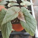 월명농장 이미지