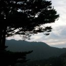 민지민박 이미지