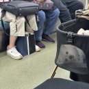 은아떡집