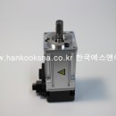 L-1 이미지