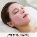 아그네스