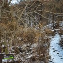 이마당약수터 이미지