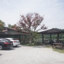 시탕뿌리 이미지