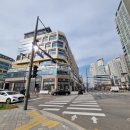 아브뉴프랑 옐로우 이미지