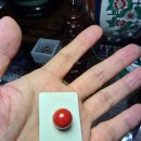 붉은황소 이미지