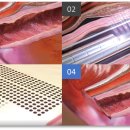 아가엄마여성의원 이미지