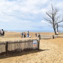 사구농장 이미지