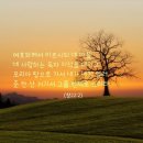 여호와께 돌아가자...(Love Never Fails) 이미지