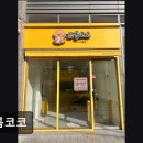 프롬코코 | (성남, 애견미용, 추천!) 프롬코코 프롬코코에서 편안한 애견미용