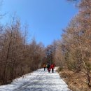 하이원 팰리스호텔 이미지