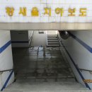 황새울1길 Daum카페