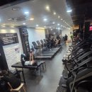 LIFE STRENGTH GYM 이미지