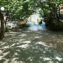 청도삼계탕 이미지