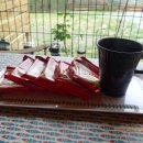 청평옆집언니 이미지