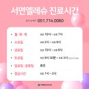 서면엘레슈의원 이미지