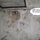 탄성코트&광텍스 시공...원대 오거리 오락실... 이미지