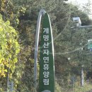 고란길(길안면) 이미지