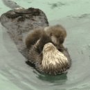 우쭈쭈 내새끼 이미지