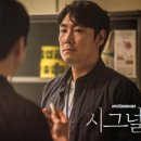시그널그라피 이미지