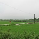 용진정사 이미지