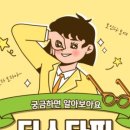 스타핏