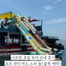 신나는머리나라 | 나트랑 호핑 투어 보트 파티 머드 스파 등 투어 상세 후기 클룩 예약