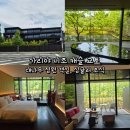 동양캐슬 | 가리야 니조 캐슬 교토 대나무 정원 객실, 싱귤러 조식
