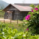 시흥목장 이미지