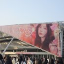 부뉴 | 태연 The Tense 중콘 후기