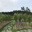 생활권17 이미지