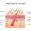 나인피부과의원 이미지